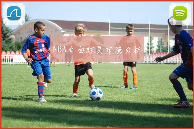NBA自由球员市场分析